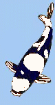 Utsuri
