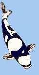 Utsuri